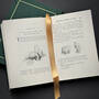 3903 winnie the pooh a.a milne illustration8