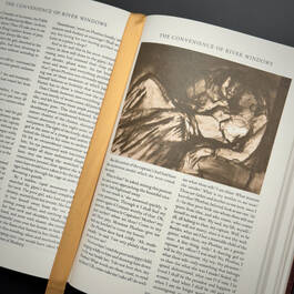 3998084 the hunchback of notre dame victor hugo illustration6