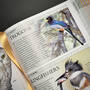 3925 birds of north america american museum of natural history  satin ribbon3