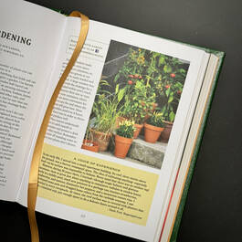 6526 vegetable gardener's handbook the old farmer's almanac illustration9