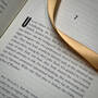 Night of the Assassins, 2678113 night of the assassins howard blum paper ribbon