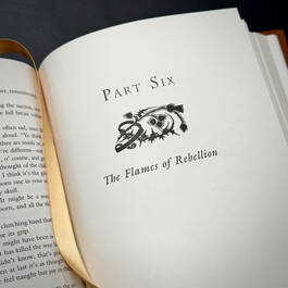 3291 dragonfly in amber gabaldon illustration1