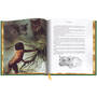 The Jungle Book 3949 e sp2