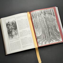6532 a dictionary of tolkien david day illustration11