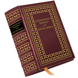3542 Livingstone's Missionary Travels a main