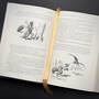 1719 the complete tales of uncle remus joel chandler harris illustration13