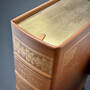 The Notebooks of Leonardo da Vinci, 3002 Notebooks DaVinci MacCurdy gilded page
