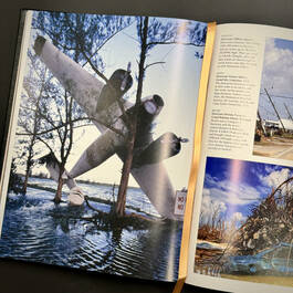 3882 weather robert ford illustration8