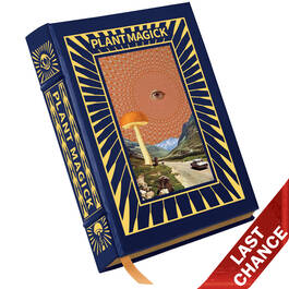 Plant Magick 3923 b LQ