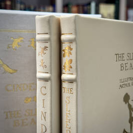 3948 sleeping beauty and cinderella evans hubbed spine