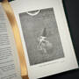 3646 from the earth to the moon jules verne illustration2