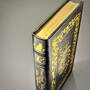 3370 practical magic alice hoffman gilded page