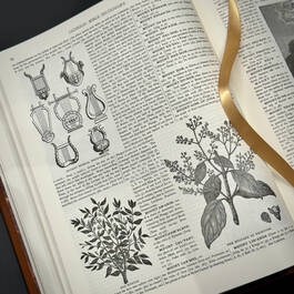 2953 the holy bible douay rheims illustration21