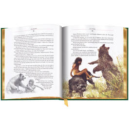 The Jungle Book 3949 f sp3