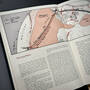 1035 atlas of middle earth tolkien Illustration7