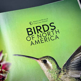 3925 birds of north america american museum of natural history title page2