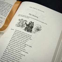 3998077 Jungle Book Kipling satin ribbon 4