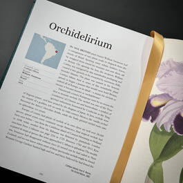 3981 the plant hunters atlas ambra edwards satin ribbon1