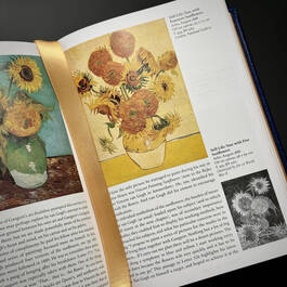 3573 van gogh complete paintings walther illustration3