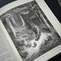3638 fairy tales told again gustave dore illustration1
