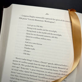 3818 abe abraham lincoln in his times reynolds  (13)