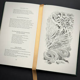 3998091 the poems of w.b. yeats w.b. yeats illustration6