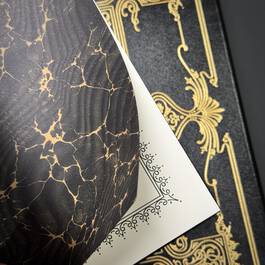 2848 the holy bible set gustave dor&eacute; page detail1