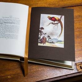 3218 Green Willow Tales e spd