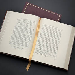 6542 essay on the principle of population robert malthus&nbsp; satin ribbon2