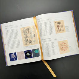 3924 micro life smithsonian satin ribbon2