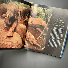 3918 21st century photographs from the image collection national geographic illustration20