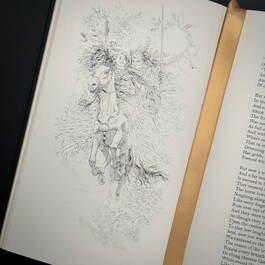 3998091 the poems of w.b. yeats w.b. yeats illustration9