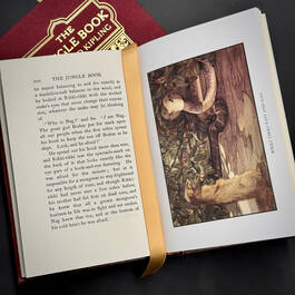 3391 the jungle book rudyard kipling illustration4