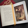 3391 the jungle book rudyard kipling illustration4