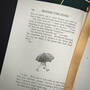 3903 winnie the pooh a.a milne illustration13
