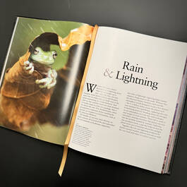 3882 weather robert ford satin ribbon5