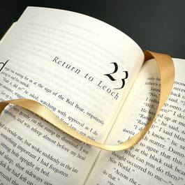 3331 outlander satin ribbon1