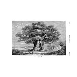 3717 Marco Polo (2 Vol) flat07