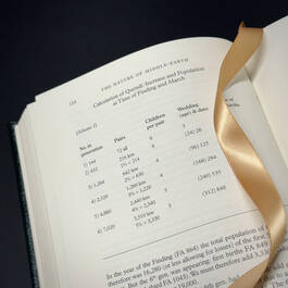 3812 the nature of middle earth tolkien satin ribbon4
