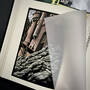 6533 wicked, deluxe edition gregory maguire illustration5