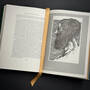 3998028 politics and poetics aristotle illustration2