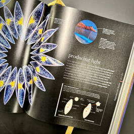 3924 micro life smithsonian illustration13