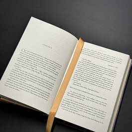 6489 the help kathryn stockett satin ribbon1