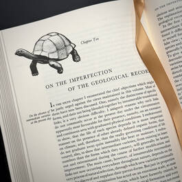 3998068 on the origin of species&nbsp; charles darwin illustration6