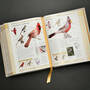 3925 birds of north america american museum of natural history illustration1