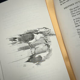 3998051 the poetry of robert frost robert frost illustration7