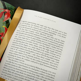 3981 the plant hunters atlas ambra edwards satin ribbon5