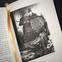 3998033 the strange case of dr. jekyll and mr. hyde robert louis stevenson illustration7