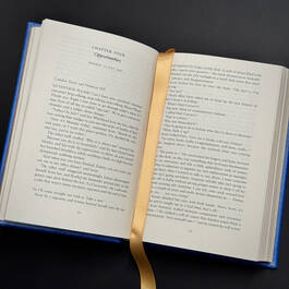 6529 one day david nicholls&nbsp; satin ribbon3