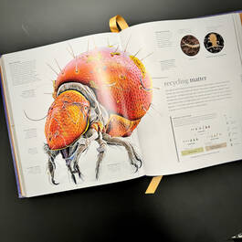 3924 micro life smithsonian illustration5